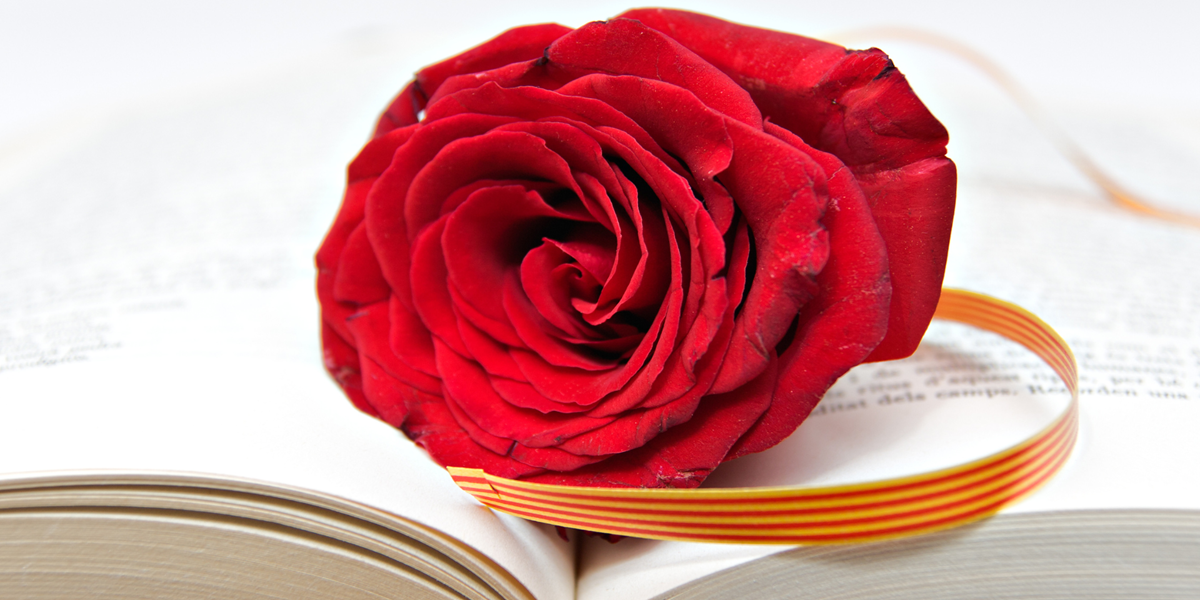 Web ADC (Fotos) (4) (1)